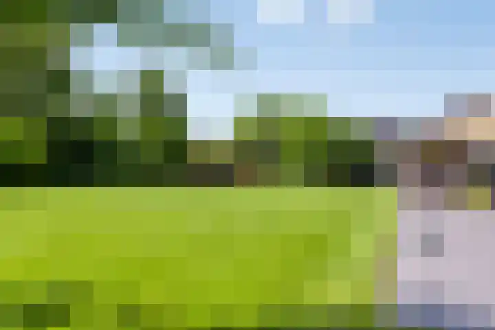 Wageningsestraat 53 Zetten thumbnail 53