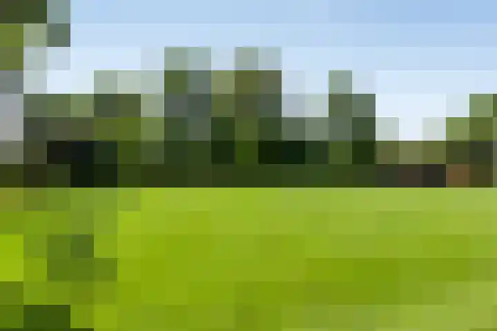 Wageningsestraat 53 Zetten thumbnail 54