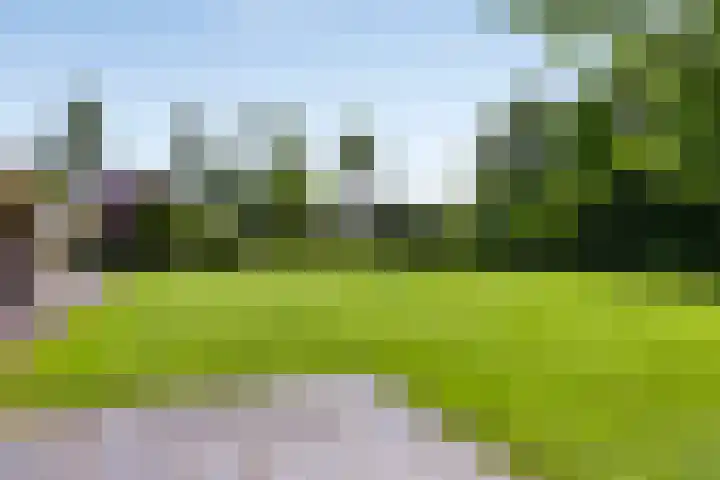 Wageningsestraat 53 Zetten thumbnail 55