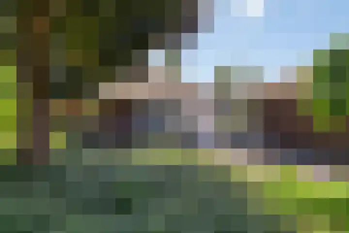 Wageningsestraat 53 Zetten thumbnail 6