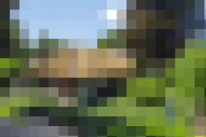 Wageningsestraat 53 Zetten thumbnail 60