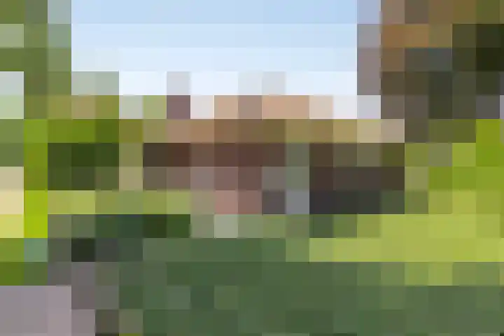 Wageningsestraat 53 Zetten thumbnail 61