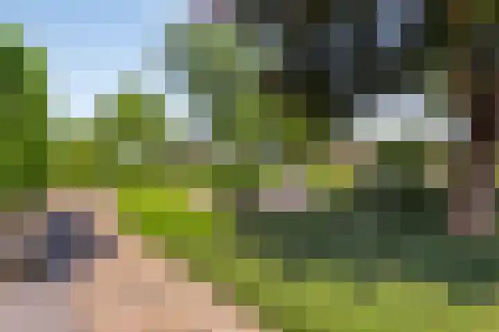 Wageningsestraat 53 Zetten thumbnail 63