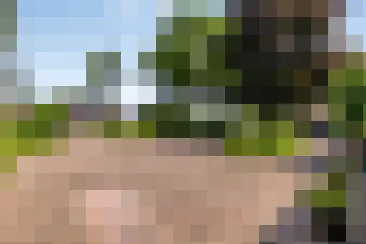 Wageningsestraat 53 Zetten thumbnail 64