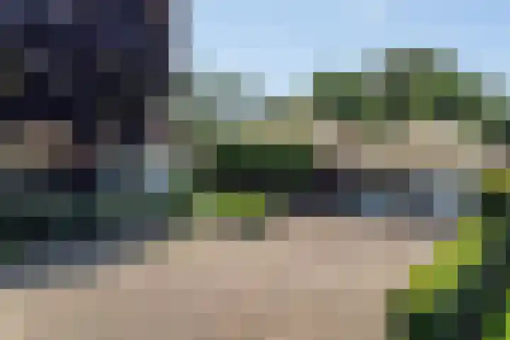 Wageningsestraat 53 Zetten thumbnail 65