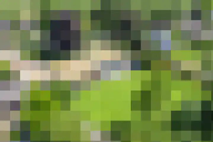 Wageningsestraat 53 Zetten thumbnail 69