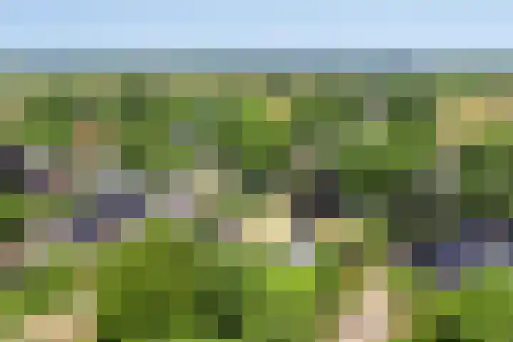 Wageningsestraat 53 Zetten thumbnail 71