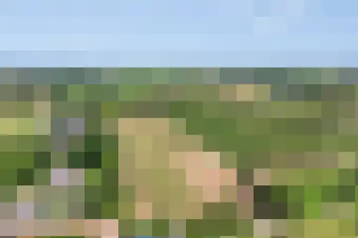 Wageningsestraat 53 Zetten thumbnail 73