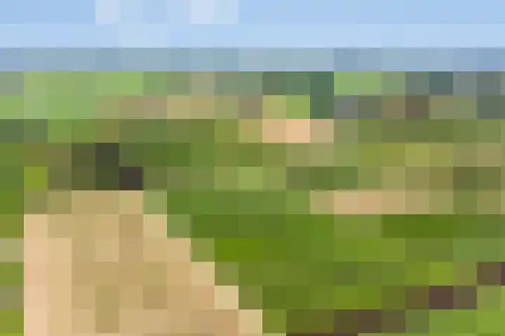 Wageningsestraat 53 Zetten thumbnail 74