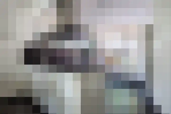 Wagenmaker 12 Beuningen Gld thumbnail 14