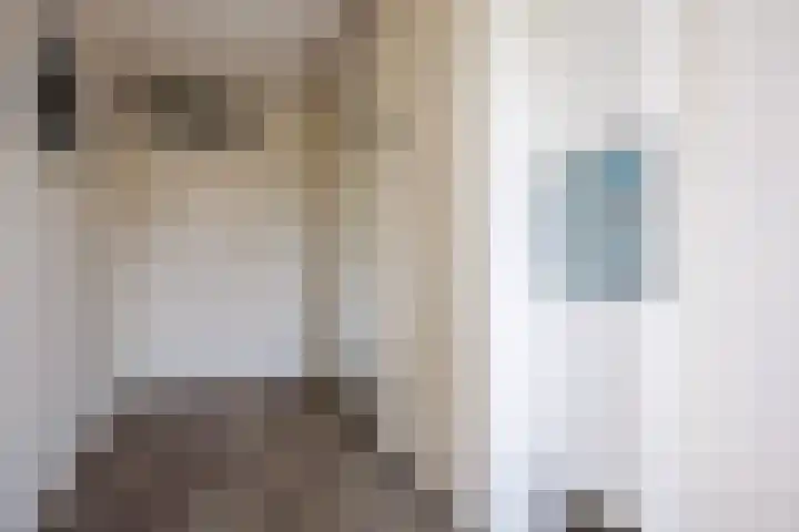 Wagenmaker 12 Beuningen Gld thumbnail 21