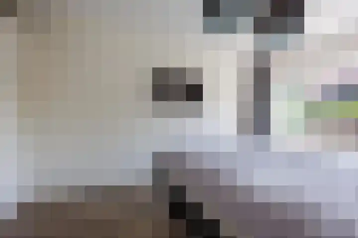 Wagenmaker 12 Beuningen Gld thumbnail 23