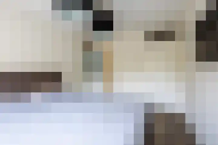 Wagenmaker 12 Beuningen Gld thumbnail 24