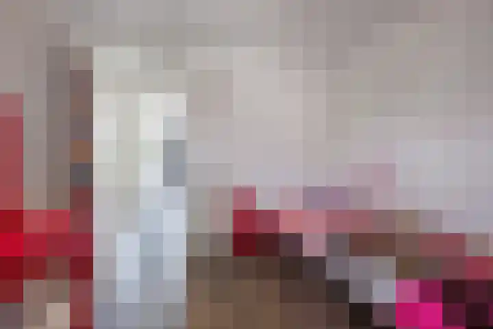 Wagenmaker 12 Beuningen Gld thumbnail 27