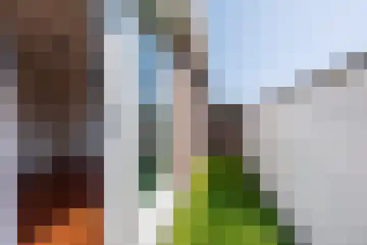 Wagenmaker 12 Beuningen Gld thumbnail 40