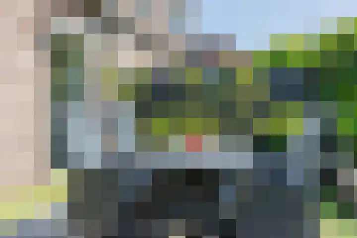 Wagenmaker 12 Beuningen Gld thumbnail 42