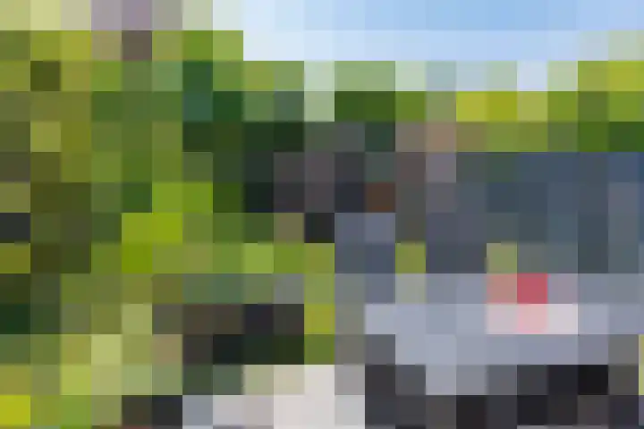 Wagenmaker 12 Beuningen Gld thumbnail 43