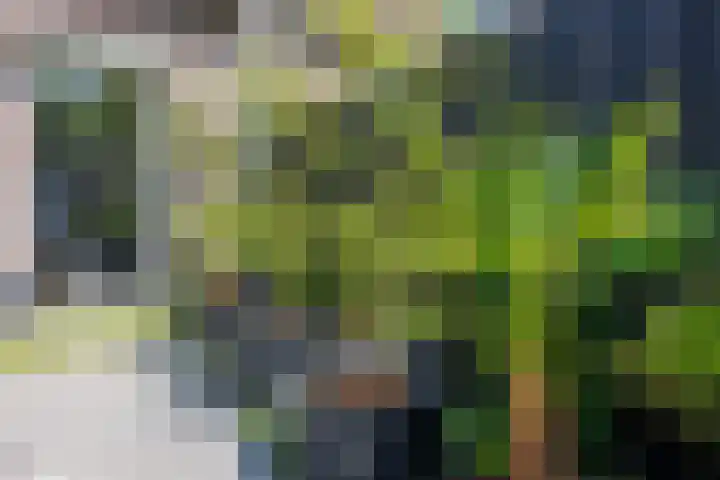 Wagenmaker 12 Beuningen Gld thumbnail 47