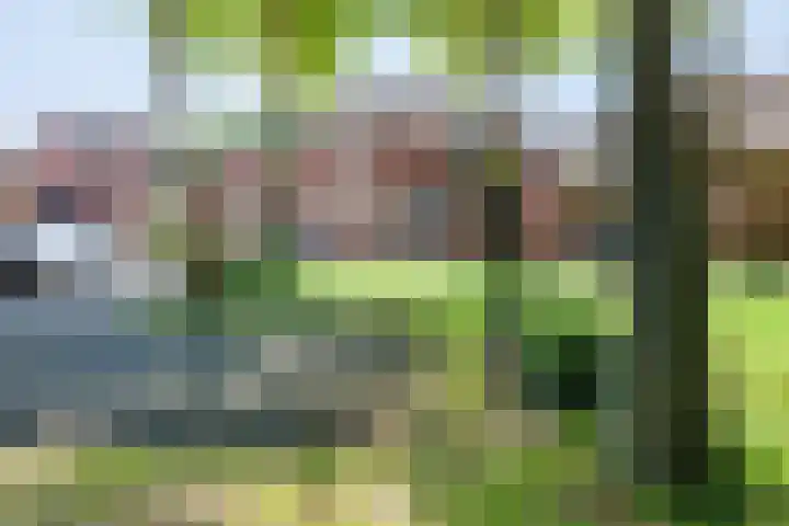 Wagenmaker 12 Beuningen Gld thumbnail 52