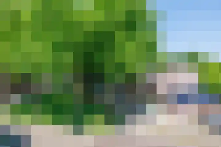 Wagenmaker 12 Beuningen Gld thumbnail 53