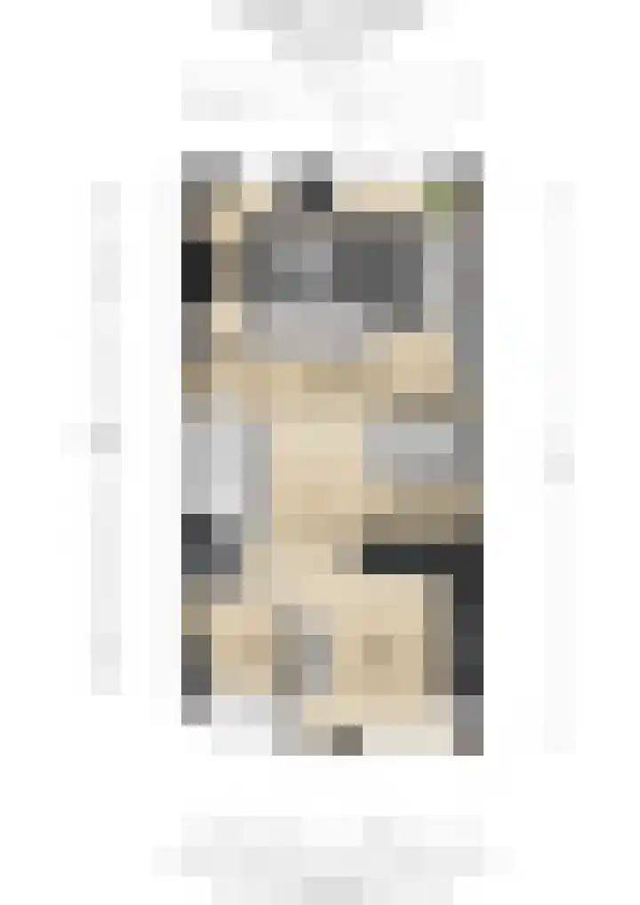 Wagenmaker 12 Beuningen Gld thumbnail 55