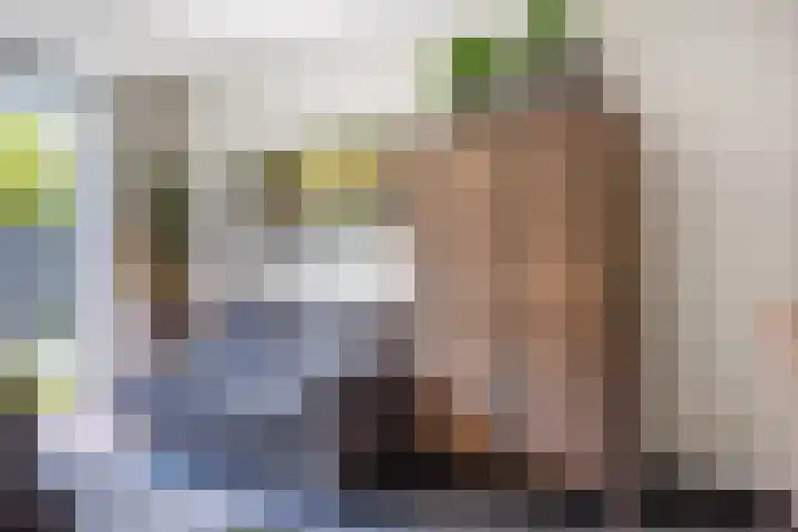 Wagenmaker 12 Beuningen Gld thumbnail 8
