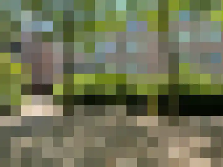 Wagenmaker 137 Alphen aan den Rijn thumbnail 18