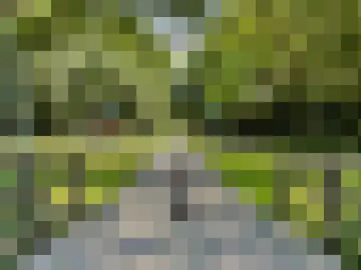 Wagenmaker 137 Alphen aan den Rijn thumbnail 20