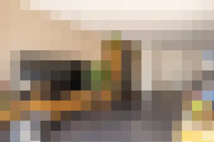 Wagenmaker 14 Lopik thumbnail 12