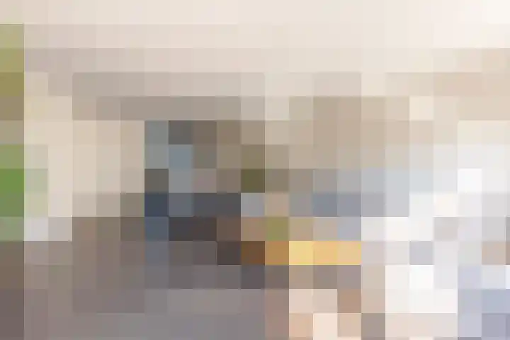 Wagenmaker 14 Lopik thumbnail 13