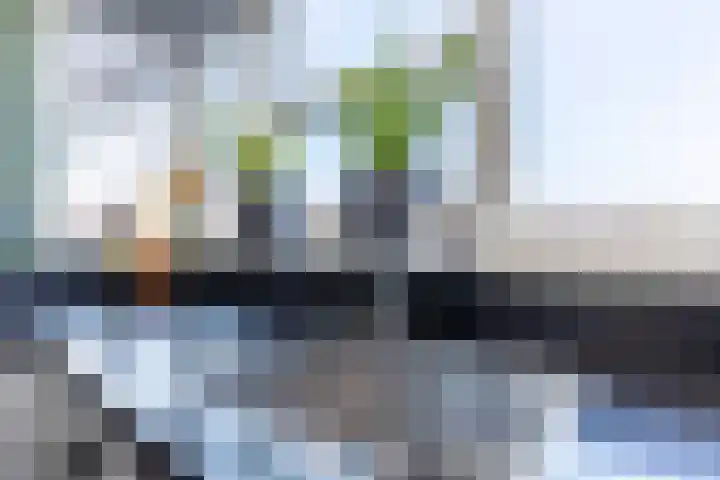 Wagenmaker 14 Lopik thumbnail 19