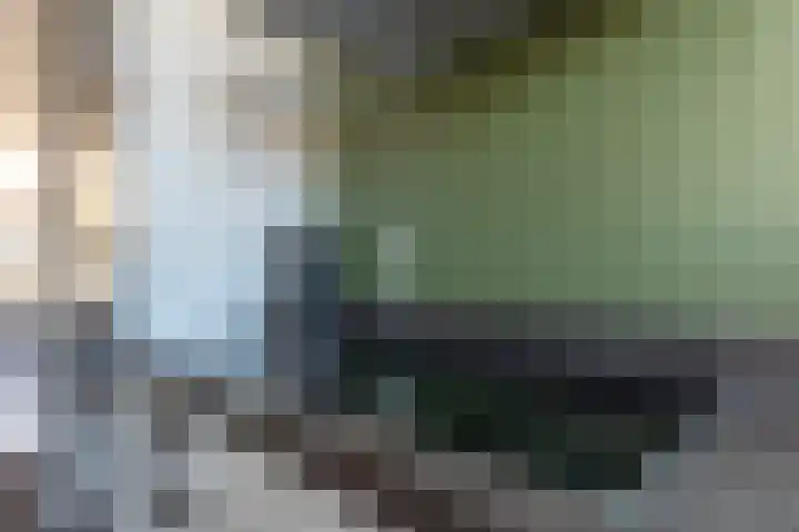 Wagenmaker 14 Lopik thumbnail 21