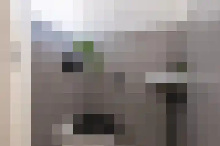 Wagenmaker 14 Lopik thumbnail 25