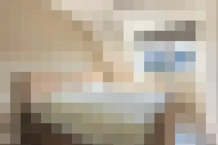 Wagenmaker 14 Lopik thumbnail 27