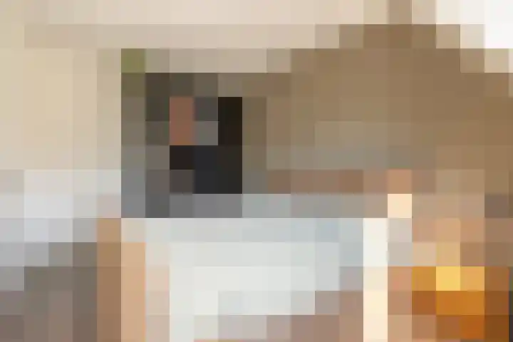 Wagenmaker 14 Lopik thumbnail 29