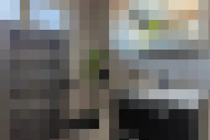 Wagenmaker 14 Lopik thumbnail 30