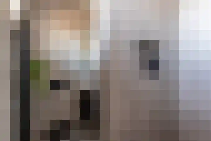 Wagenmaker 14 Lopik thumbnail 32
