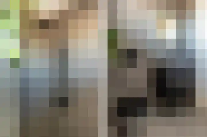Wagenmaker 14 Lopik thumbnail 33