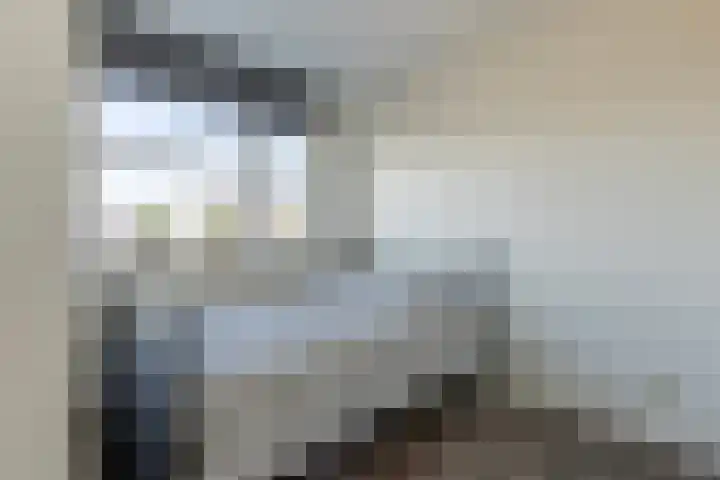 Wagenmaker 14 Lopik thumbnail 34