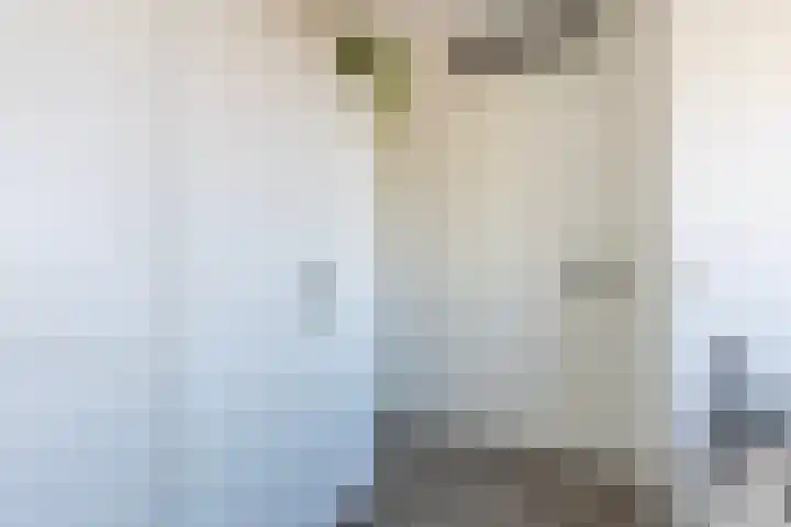 Wagenmaker 14 Lopik thumbnail 35