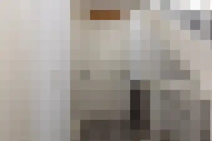 Wagenmaker 14 Lopik thumbnail 38