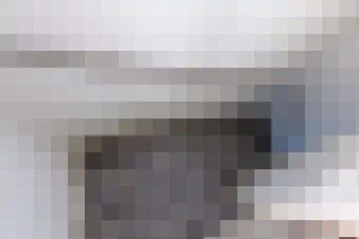 Wagenmaker 14 Lopik thumbnail 44
