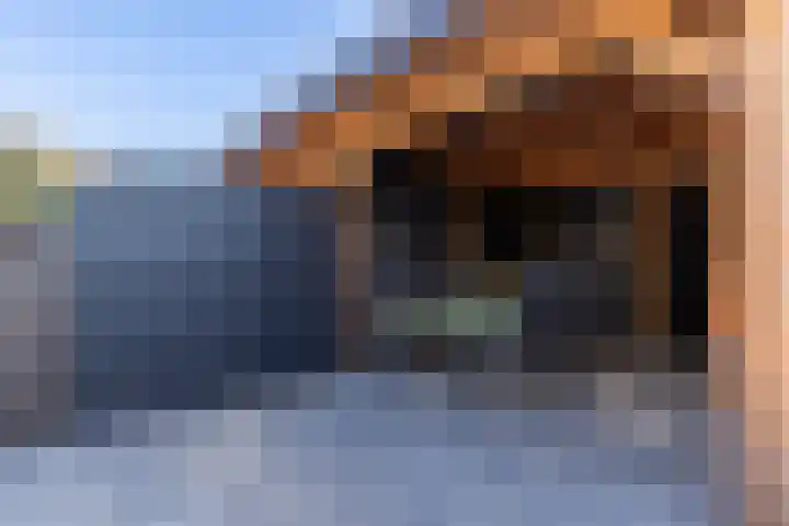 Wagenmaker 14 Lopik thumbnail 47
