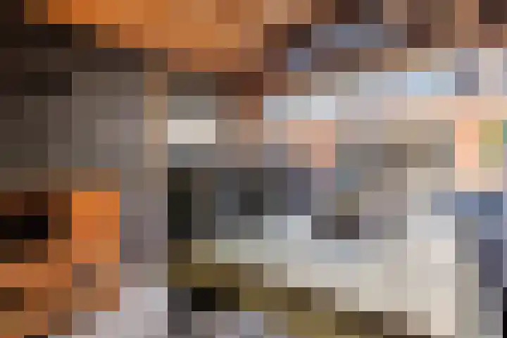 Wagenmaker 14 Lopik thumbnail 48