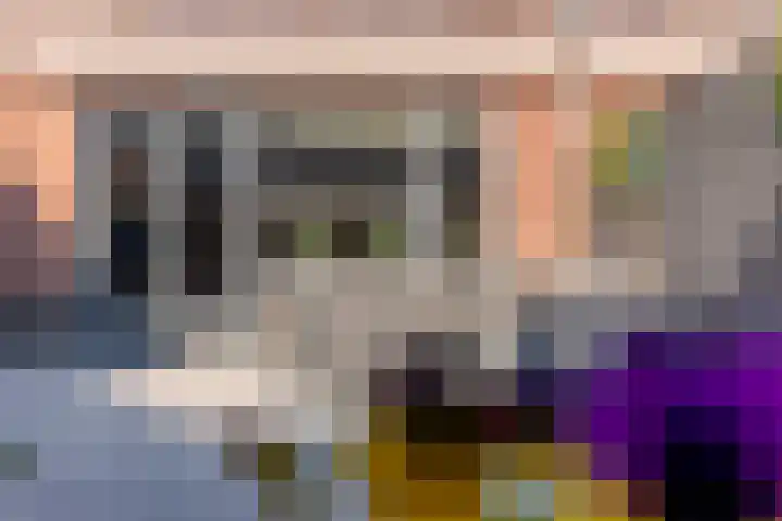 Wagenmaker 14 Lopik thumbnail 51
