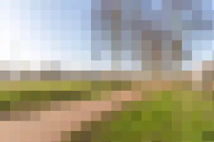 Wagenmaker 14 Lopik thumbnail 58