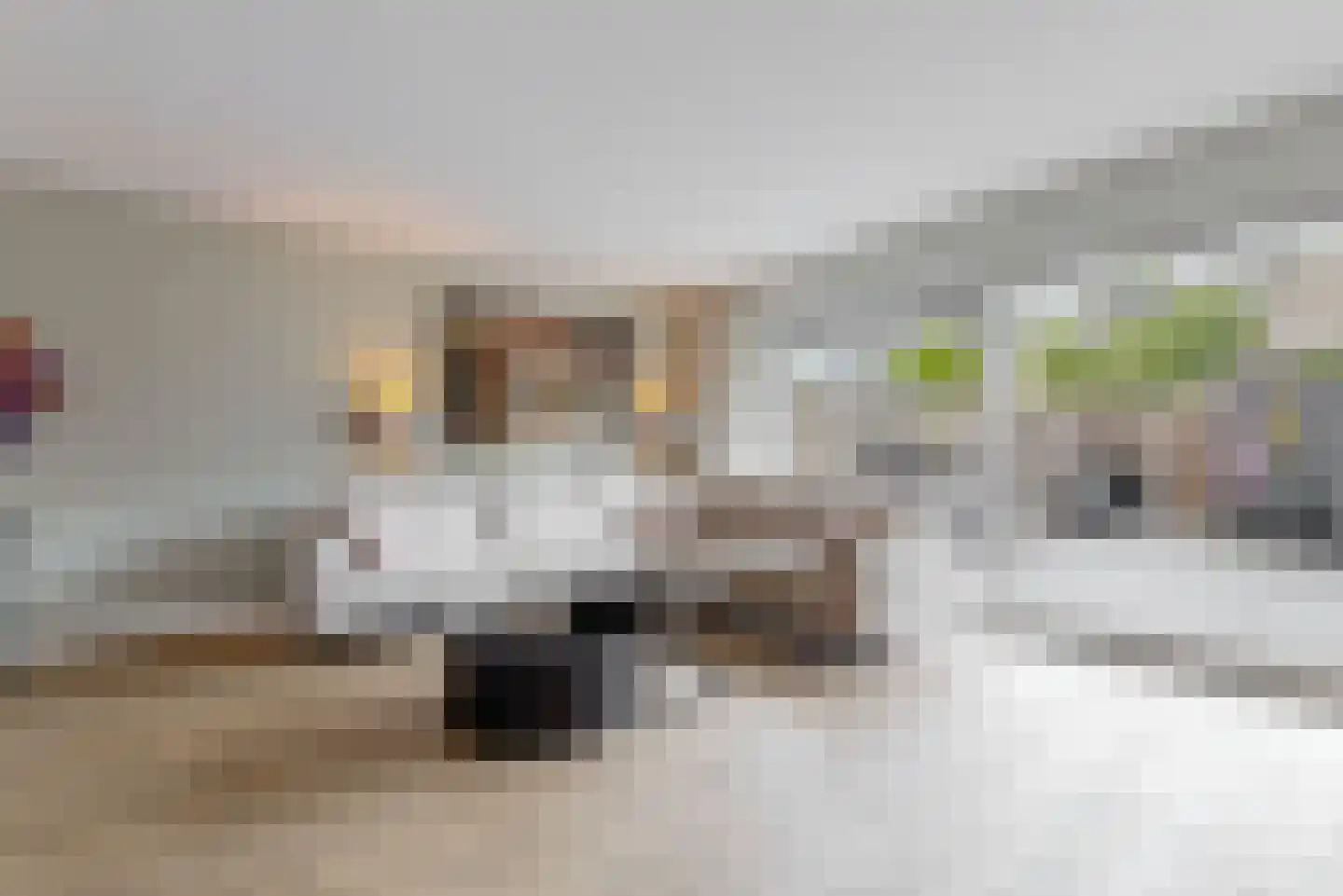 Wagenmaker 15 Leiderdorp thumbnail 11