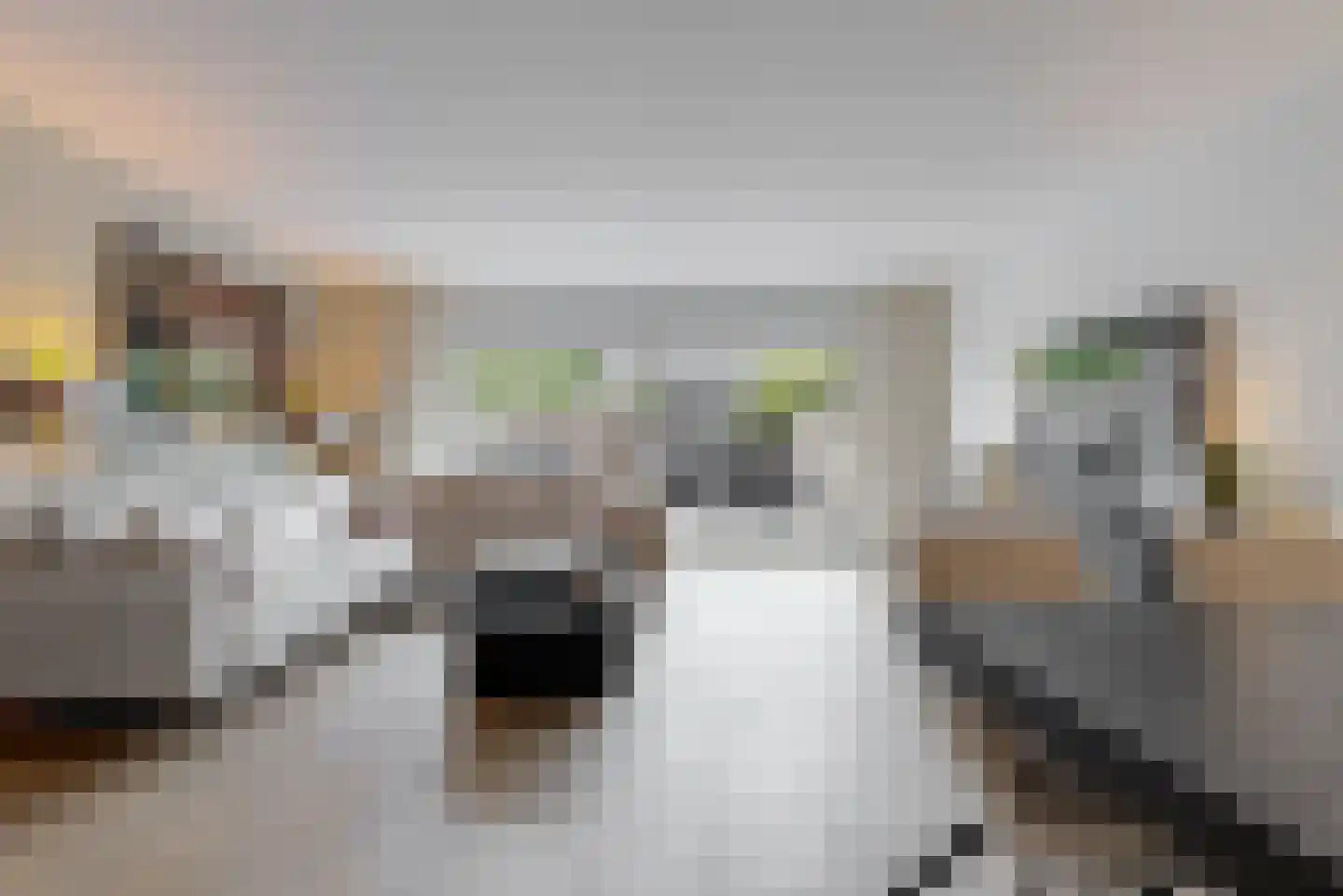 Wagenmaker 15 Leiderdorp thumbnail 12