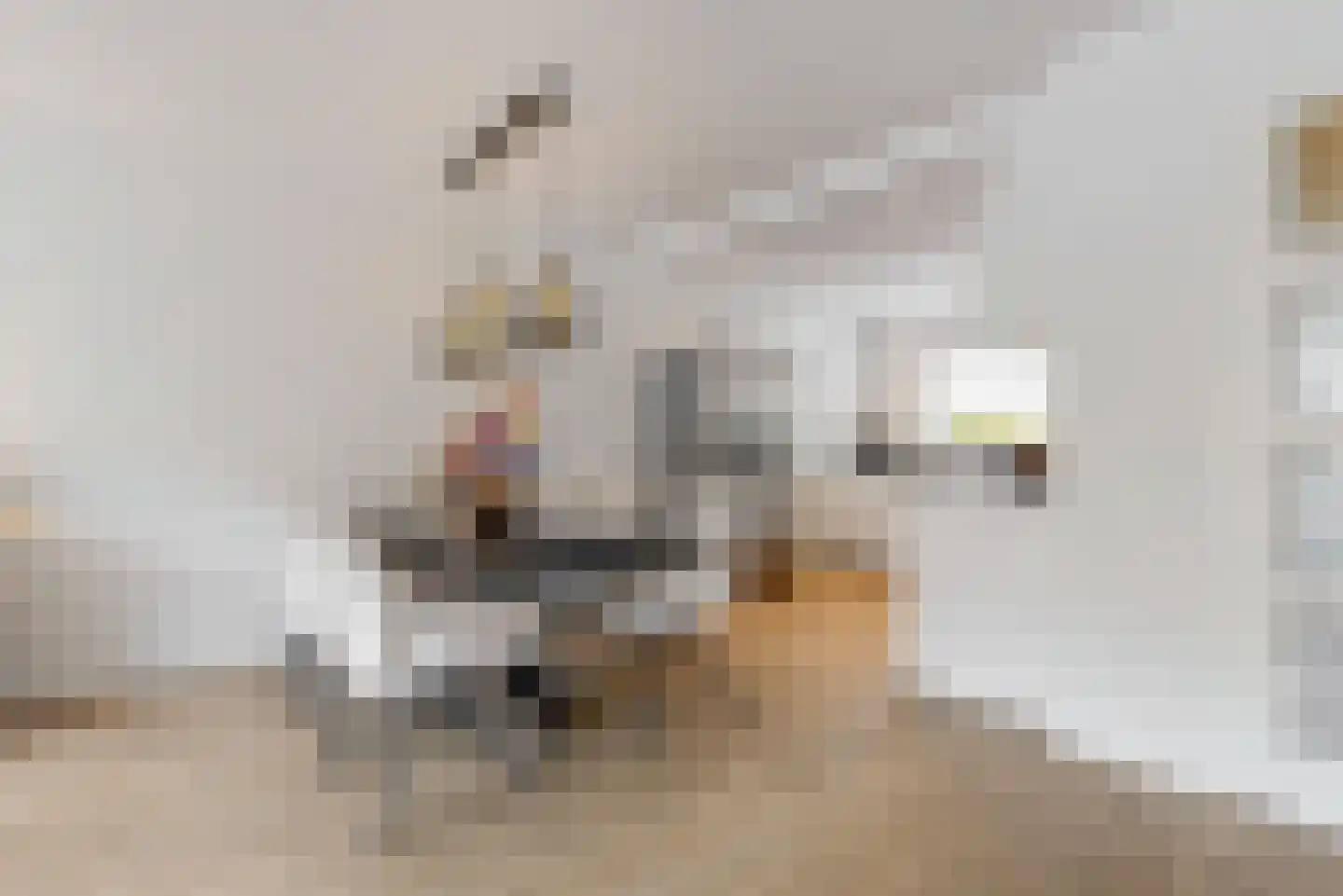 Wagenmaker 15 Leiderdorp thumbnail 13
