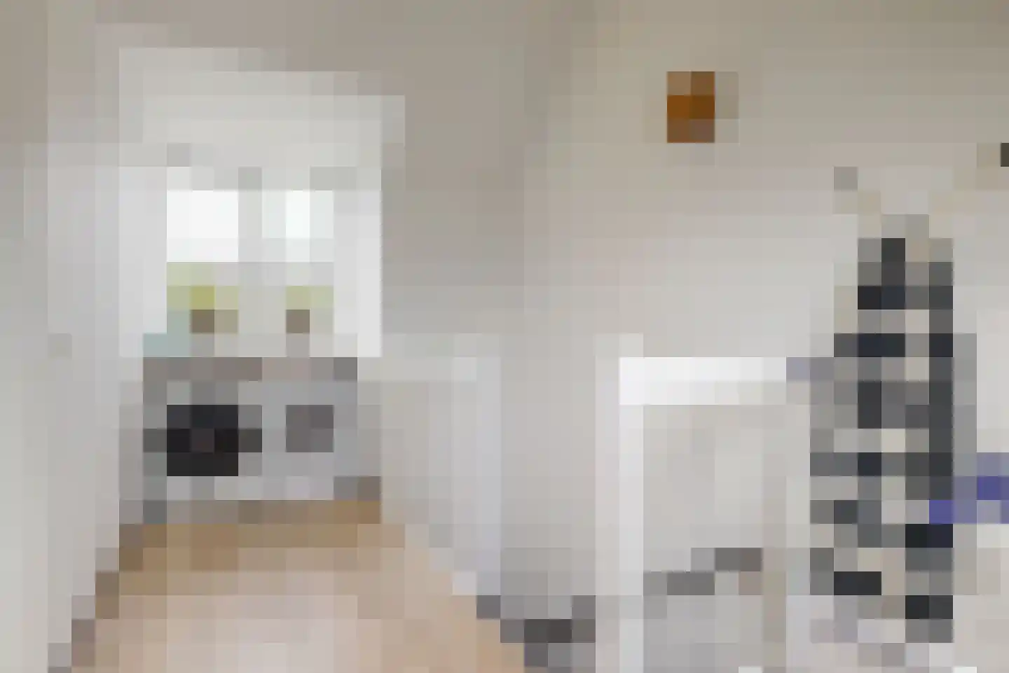 Wagenmaker 15 Leiderdorp thumbnail 27